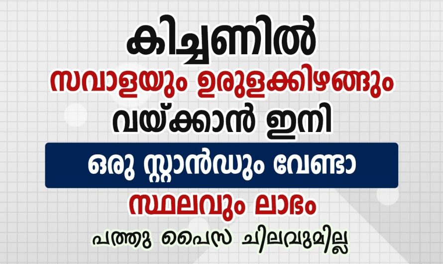 സവാളയ്ക്കും ഉരുളക്കിഴങ്ങിനും വേണ്ടി ഇനി സ്ഥലം കളയേണ്ട.