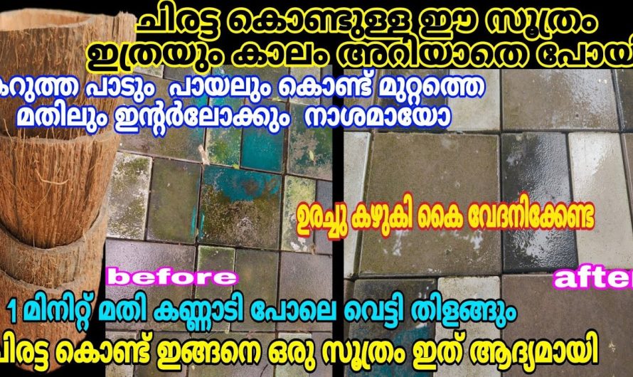 ഉറപ്പാണ് ഇത് നിങ്ങളെ അതിശയിപ്പിക്കും