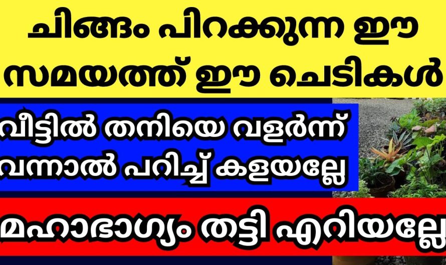 ചിങ്ങത്തിനൊപ്പം ഈ ചെടികളും പിറന്നാല്‍ സംഭവിക്കുന്നത്