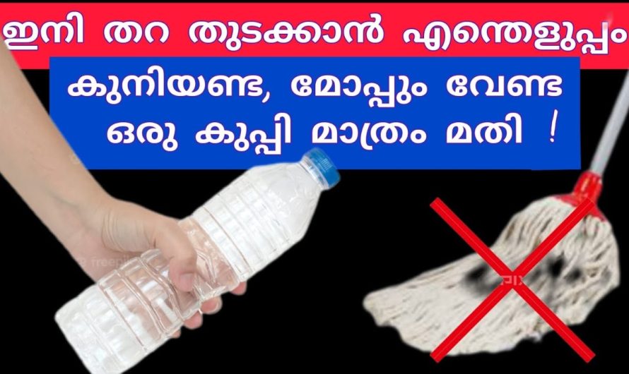 ഇനി ഈ ഒരു പ്ലാസ്റ്റിക് കുപ്പി കൊണ്ട് സംഭവിക്കുന്നത് കാണണോ