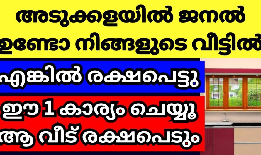 നിങ്ങളുടെ അടുക്കള ജനലും ഈ രീതിയിലാണ് എങ്കിൽ സംഭവിക്കാൻ പോകുന്നത്