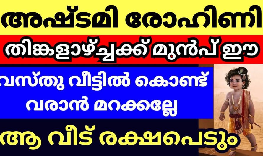 മറ്റൊരു ദിവസവും കൊണ്ടുവന്നില്ലെങ്കിലും ഈ ദിവസം ഇത് കൊണ്ടുവന്ന മതിയാകും