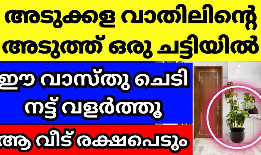 അടുക്കളപ്പുറത്ത് ഈ ചെടികൾ വളർന്നാൽ സംഭവിക്കുന്നത്