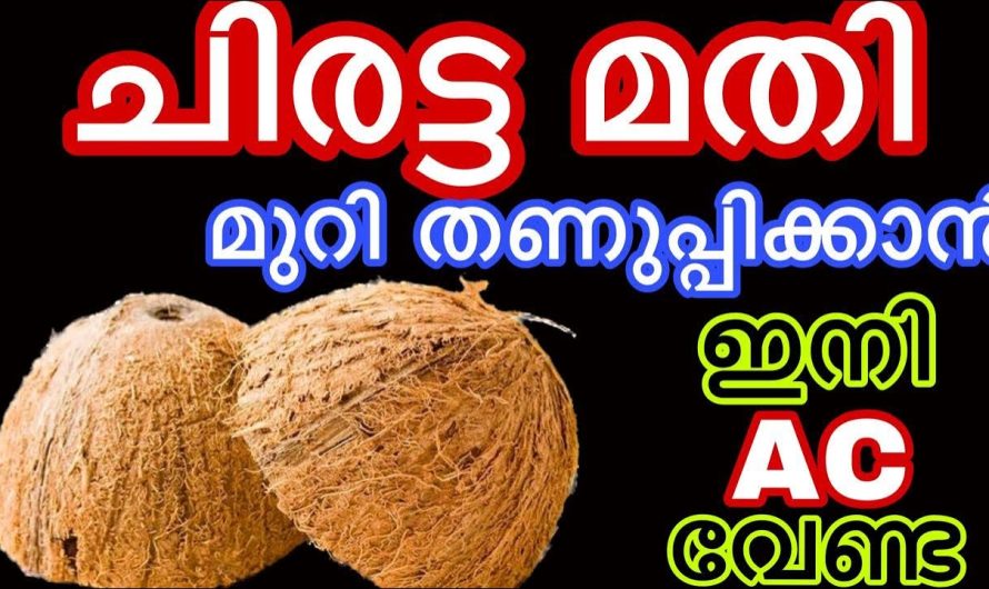 ഇനി എസിക്ക് പകരം വെറും രണ്ട് ചിരട്ട മാത്രം മതി.