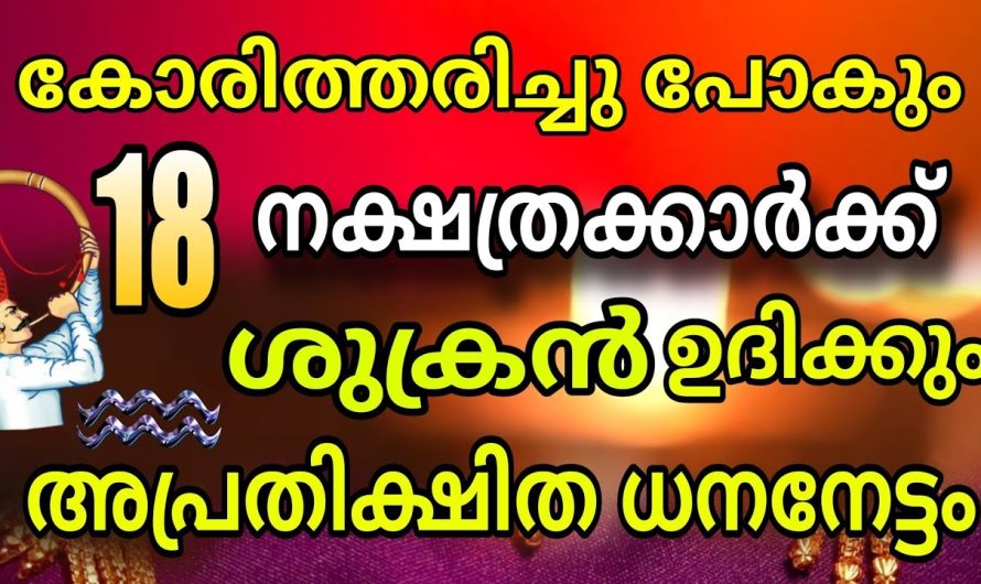 ഇനി ഇവരാരും നിസ്സാരക്കാരല്ല, കോടീശ്വരന്മാർ തന്നെയാകും.