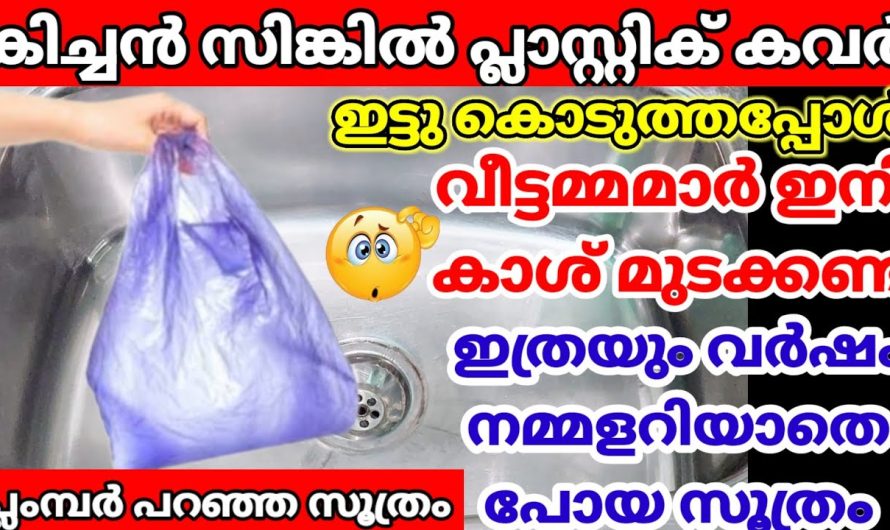 ഒരു ഒറ്റ പ്ലാസ്റ്റിക് കവർ കൊണ്ട് ഇനിയൊരു വലിയ പ്രശ്നങ്ങള പരിഹാരമായി