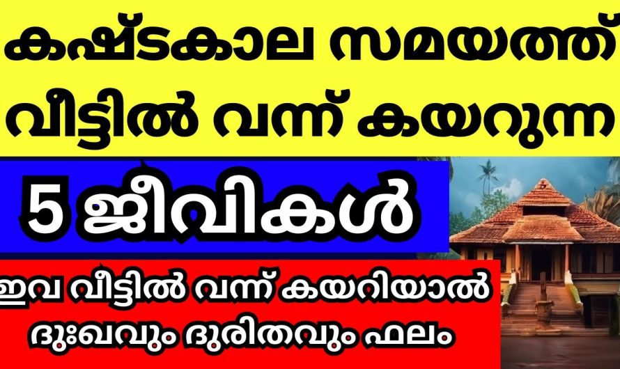 അത്ര ശുഭമല്ല ഈ ജീവികളുടെ സാന്നിധ്യം