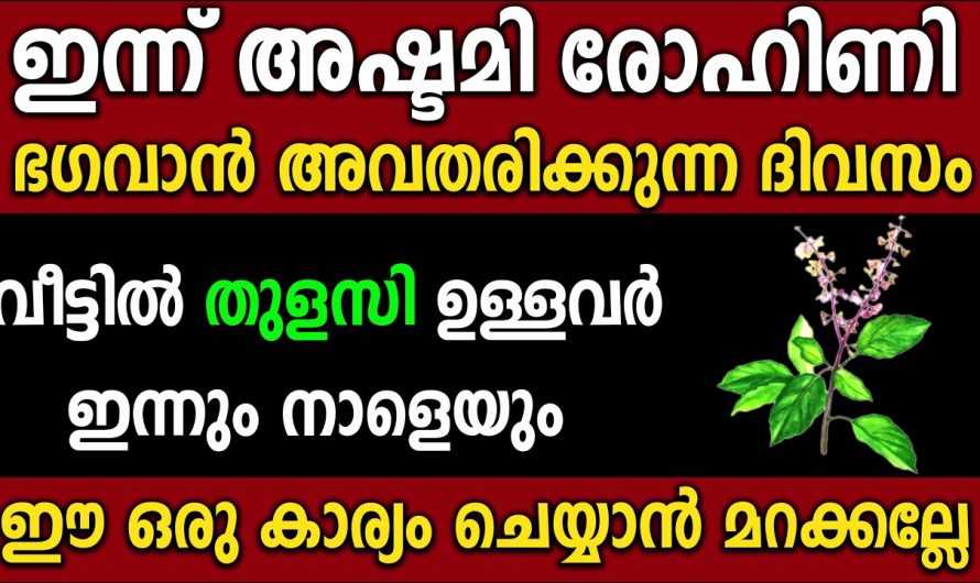 വീട്ടിൽ തുളസി ഉള്ളവർ ഉറപ്പായും ചെയ്യുക