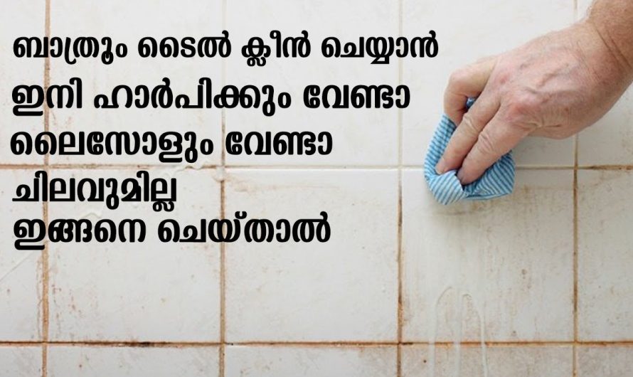 ബാത്റൂം ക്ലീൻ ചെയ്യാൻ ഇത്രയും എളുപ്പമായിരുന്നോ