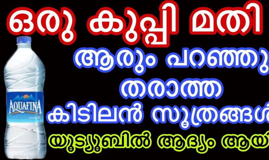 ഇനി ഇത് നിങ്ങളുടെ വീട്ടിൽ വേസ്റ്റിന്റെ കൂട്ടത്തിൽ കാണില്ല