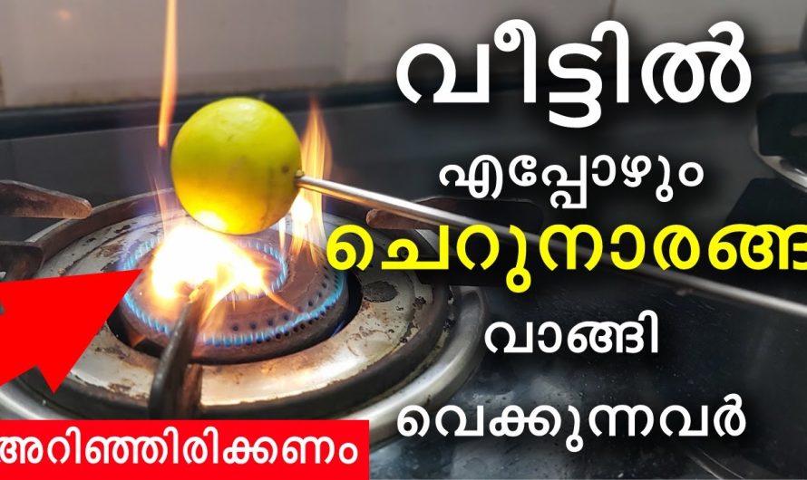 ഇതറിഞ്ഞാൽ ഇനി എല്ലാവരും ചെറുനാരങ്ങ വീട്ടിൽ സ്റ്റോക്ക് വയ്ക്കും