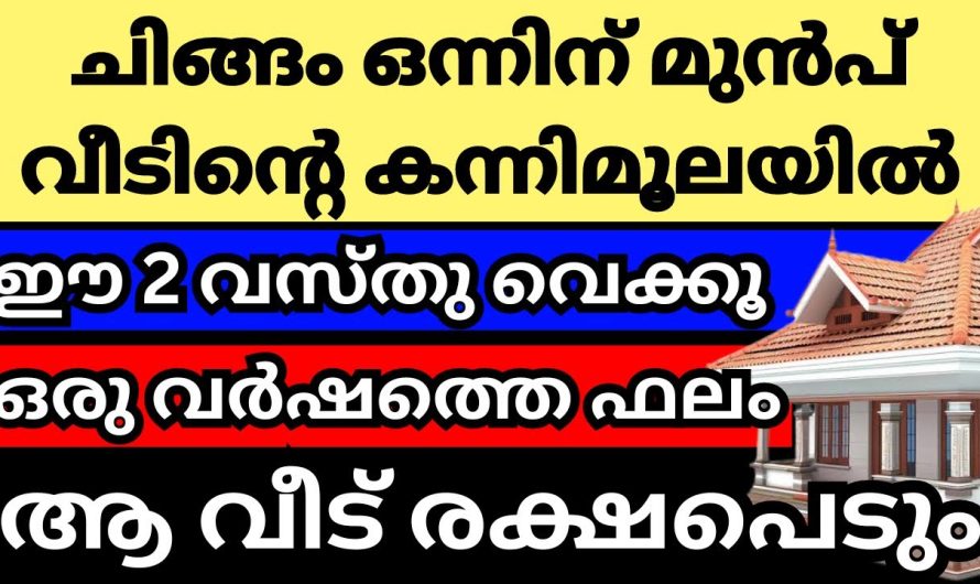 നിങ്ങളുടെ വീട്ടിലും ഈ ഭാഗത്ത് ഇതൊന്നു വച്ചു നോക്കൂ