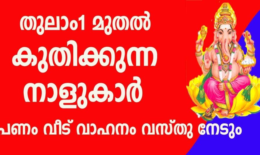 ഇനി ഒരിക്കൽപോലും തിരിഞ്ഞു നോക്കേണ്ടി വരില്ല