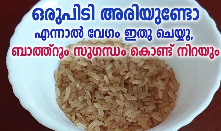 ഇനി നിങ്ങളുടെ വീടും മുറിയും എപ്പോഴും ഫ്രഷ് ആകും