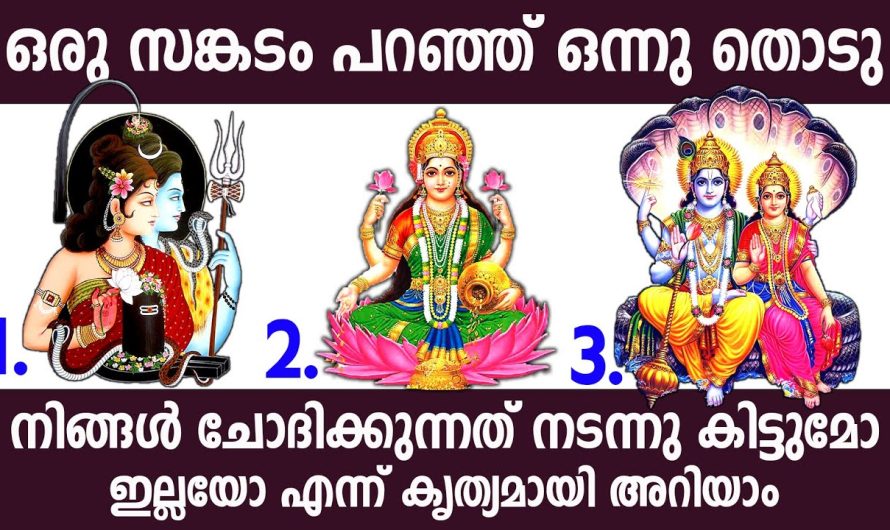 ആഗ്രഹം എങ്ങനെ പൂർത്തിയാകും എന്നറിയാൻ ഒന്ന് തൊട്ടാൽ മതി