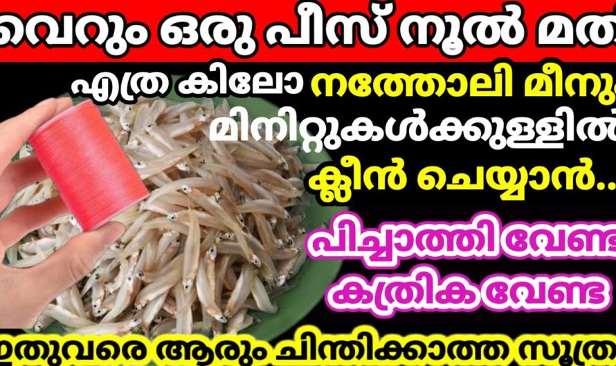 ഇത് ഏതൊരു വീട്ടമ്മയും ആഗ്രഹിച്ച കാര്യം ആയിരിക്കും