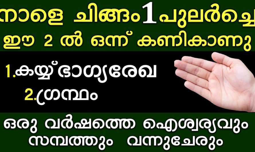 നിങ്ങളുടെ ഭാഗ്യം നിങ്ങളുടെ കയ്യിൽ തന്നെയുണ്ട്, കണികാണാൻ ഏറ്റവും നല്ലത് ഇതുതന്നെ