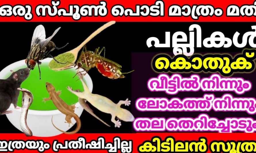 ഗ്യാസ് ലാഭിക്കാൻ ഇനി നിങ്ങൾ അറിയാത്ത ഇങ്ങനെയും ചില കാര്യങ്ങൾ