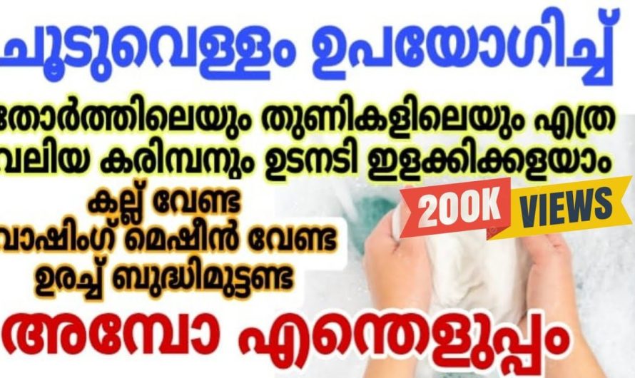 രണ്ടു മിനിട്ടുകൊണ്ട് നിസ്സാരമായി നിങ്ങളുടെ തോർത്തും വെളുപ്പിക്കാം