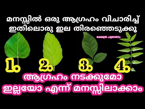 ഇത് വെറും ഇലകൾ അല്ല നിങ്ങളുടെ ജീവിതം തന്നെ മാറ്റിയേക്കും