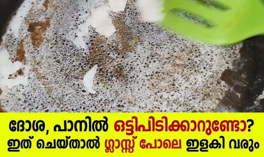 എന്തു സംഭവിച്ചാലും ഇനി ദോശ പാനിൽ ഒട്ടിപ്പിടിക്കില്ല