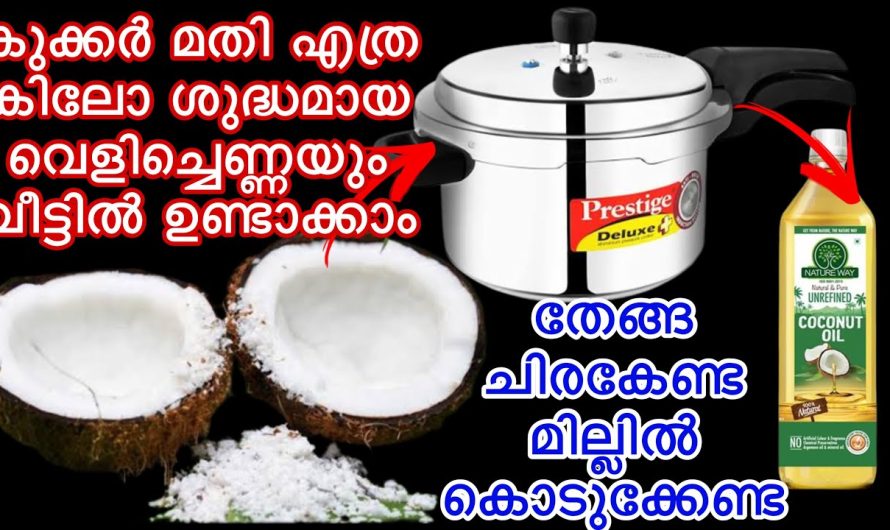 ഇതിന്റെ വില ഇനി എത്ര പറഞ്ഞാലും തീരില്ല