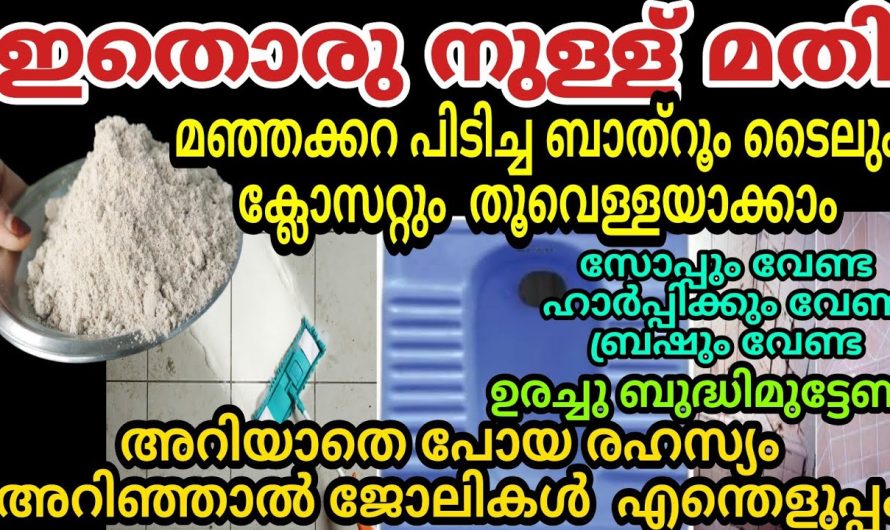 30 രൂപ കൊണ്ട് മാസം മുഴുവനും ക്ലീനിങ് എളുപ്പമാക്കാം