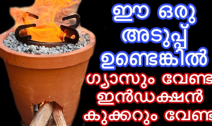 ചില്ലറക്കാരനല്ല ഈ അടുപ്പ് ഇതുവരെ ഇത് ഉണ്ടാക്കാൻ അറിയില്ലേ