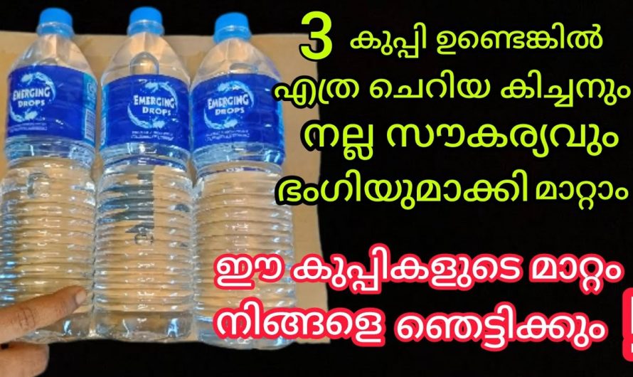 പ്ലാസ്റ്റിക് കുപ്പി കൊണ്ട് ഇങ്ങനെയുള്ള ചില കാര്യങ്ങൾ ചെയ്യാം