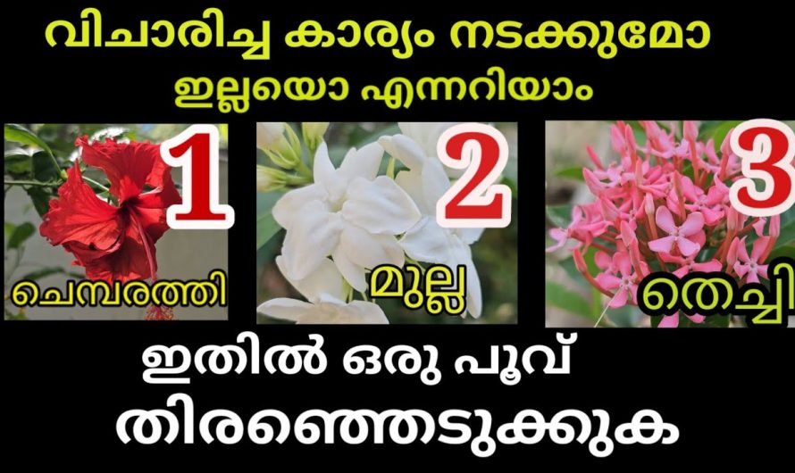 ഇനി സുഗന്ധമല്ല ഇത് തൊട്ടാൽ സംഭവിക്കുന്നത് മറ്റ് പലതും