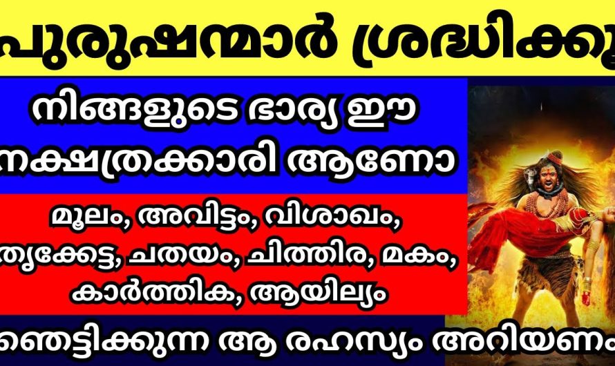 ഇവർ വെറും ഭാര്യമാർ അല്ല നിങ്ങളുടെ ഭാഗ്യമാണ്.