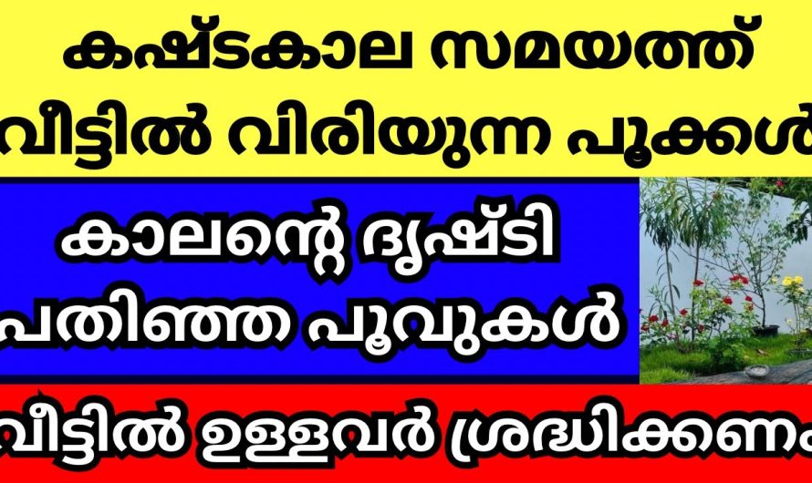 പൂക്കൾ എങ്കിലും ഇവ പൂക്കുന്നത് വലിയ ദോഷമാണ്