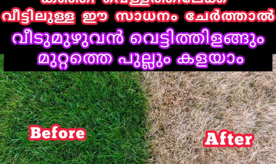 ഇനി പതിവുകൾ ഒക്കെ തെറ്റും വെറുതെ കളയാനില്ല ഇത്