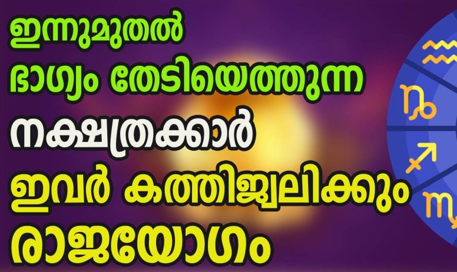 ഇനിയും ഇങ്ങനെ ഒരു ഭാഗ്യം നിങ്ങൾ കണ്ടില്ലെന്നു നടിക്കരുത്