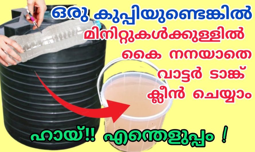 ഒരൊറ്റ പ്ലാസ്റ്റിക് കുപ്പി കൊണ്ട് ആരുടെയും സഹായമില്ലാതെ ഇനി നിങ്ങൾക്കും ഇത് ചെയ്യാം