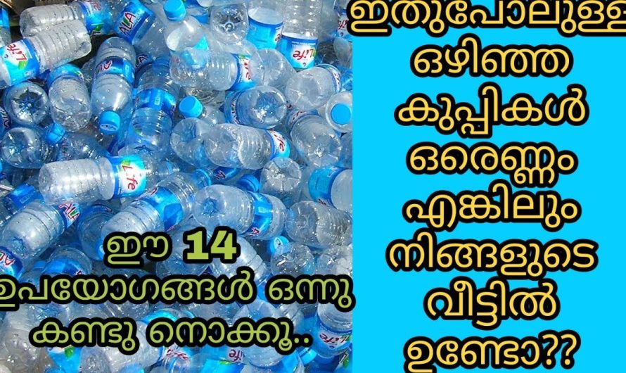 നിങ്ങൾ ചിന്തിക്കാത്തതുകൊണ്ട് വേസ്റ്റ് ആയിപ്പോയവയാണ് ഇവയെല്ലാം