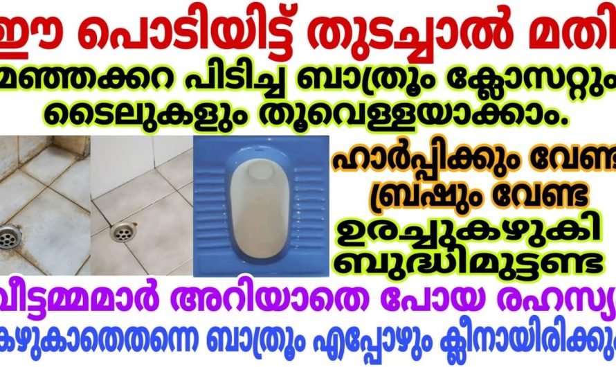 ഇനി എത്ര വലിയ കറയും പെട്ടെന്ന് പോകാൻ ഇത് മാത്രം മതി