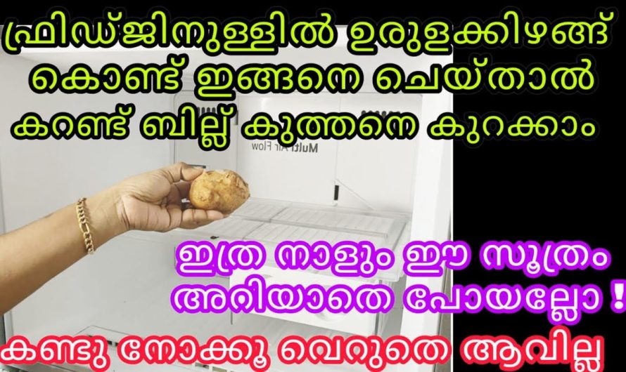 ഒരു കെമിക്കലും വേണ്ട ഒറ്റ ഉരുളക്കിഴങ്ങ് മാത്രം മതി