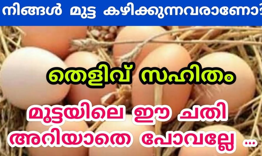ഒറിജിനലിനെ വെല്ലുന്ന ഡ്യൂപ്ലിക്കേറ്റ് ഉണ്ടെങ്കിൽ ഈ വഴികൾ നാം അറിഞ്ഞേ പറ്റൂ