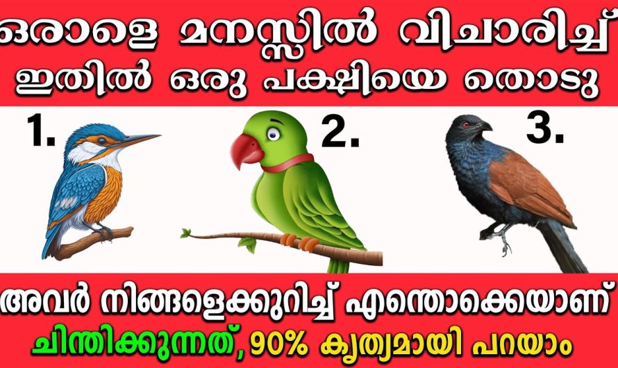 ഒരാളെ കുറിച്ച് അറിയാൻ ഈ ഒരു പക്ഷിയെ തിരഞ്ഞെടുക്കു