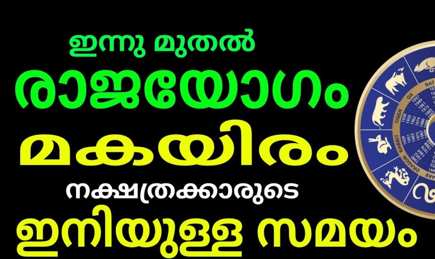 മകയിരം ആണോ എങ്കിൽ ഉറപ്പായും അറിഞ്ഞിരിക്കു