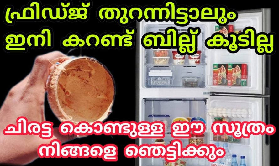 നിങ്ങളുടെ ഫ്രിഡ്ജ് സേഫ് ആണ് ഒപ്പം കറണ്ട് ബില്ല് പകുതിയാക്കാം