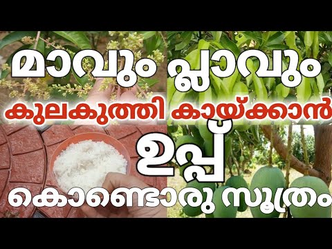 ഇങ്ങനെ ഒരു പ്രയോഗം നിങ്ങൾ ചെയ്തു നോക്കിയിട്ടുണ്ടോ