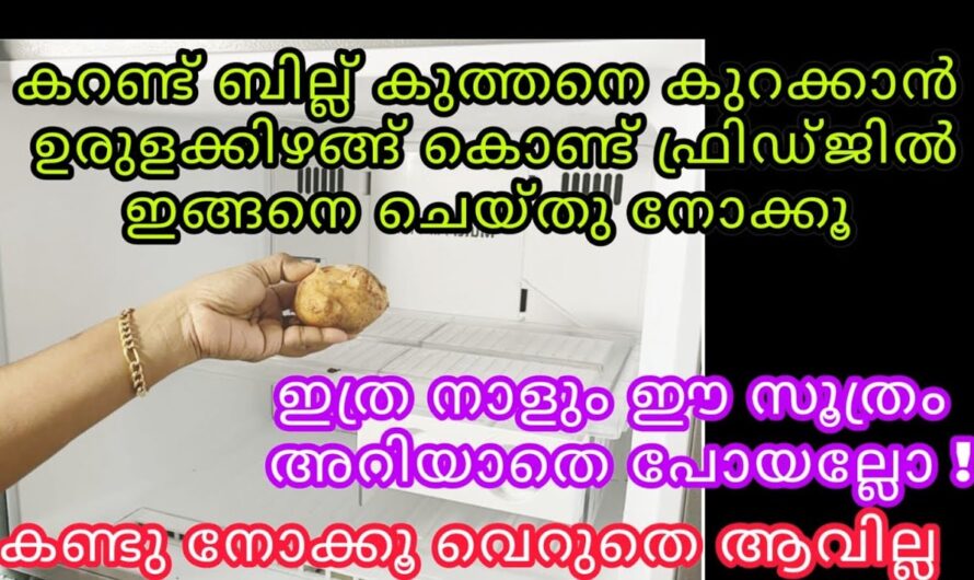 ഒരേ ഒരു പീസ് ഉരുളക്കിഴങ്ങ് മാത്രം മതി ഇതിന്