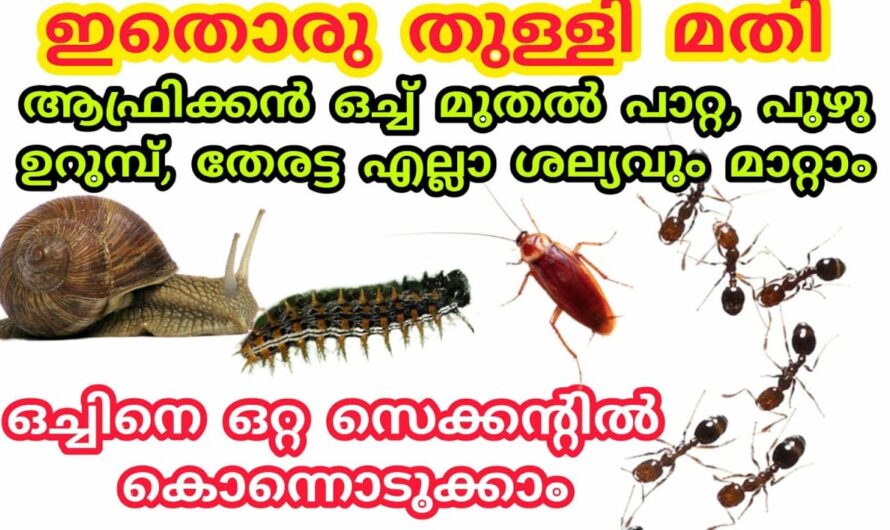 പ്രശ്നം പലതെങ്കിലും പരിഹാരം ഇനി ഇത് മാത്രം മതി