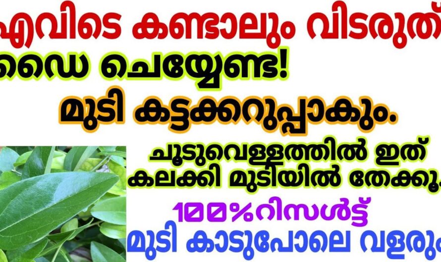 ഇനി ഡൈ വാങ്ങി കഷ്ടപ്പെടേണ്ട