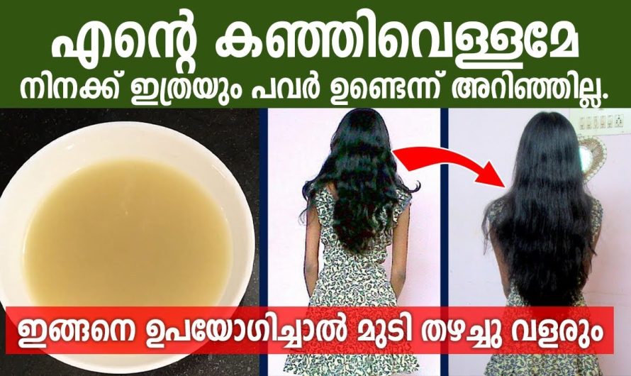 ഒറ്റ തവണയെങ്കിലും കഞ്ഞിവെള്ളം ഇങ്ങനെ ഉപയോഗിച്ചു നോക്കൂ