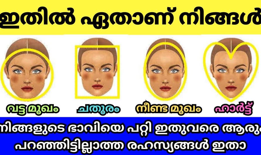 നിങ്ങളുടെ മുഖവും ഈ ആകൃതിയിലാണോ