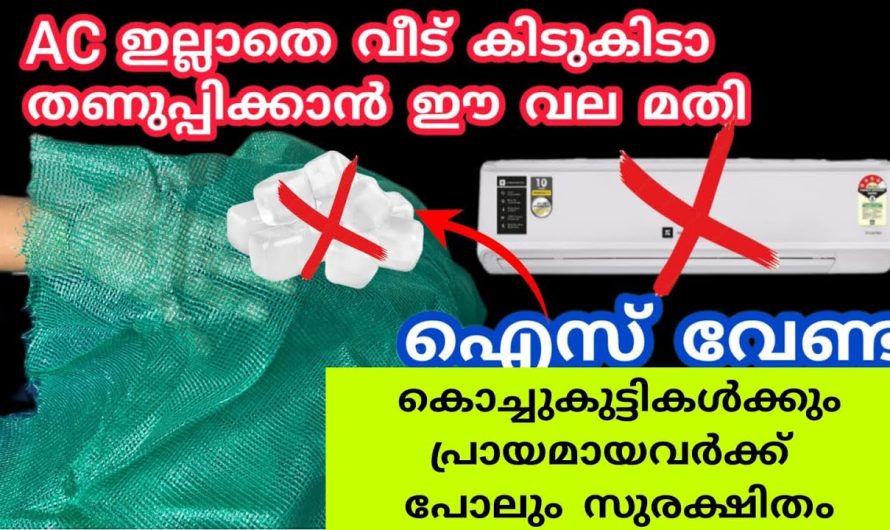 വൈകുന്നേരങ്ങളിൽ നിങ്ങളും ഇതൊന്നു ചെയ്തു നോക്കൂ