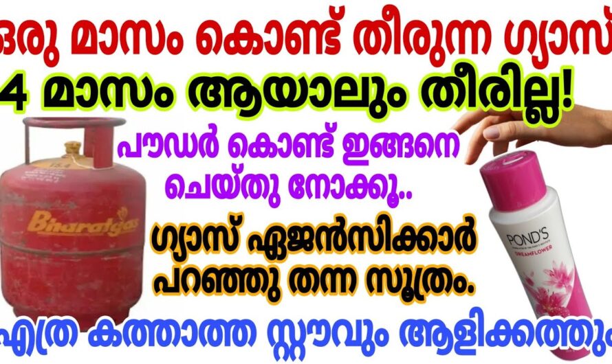 ഇതിലും നന്നായി ഇനി എങ്ങനെ ഗ്യാസ് ലാഭിക്കും